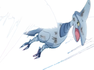 airmure-skarmory-airmd-pokemon-pkm-jeu-anime-type-acier-vol-2g-johto-armoiseau