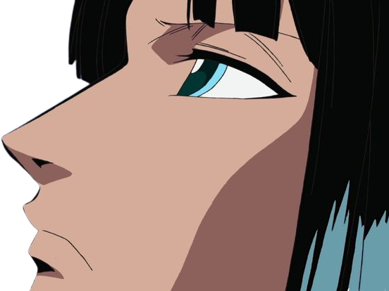 nico robin one piece cheveux noir yeux bleu frange ninon fic bloop