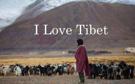 nepal-lama-rinpoche-buddha-tibet-hima-laya-everest-mount-cyclone-typhon-typhoon-cata-flood-river