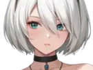 2b-nier-automata-cheveux-blanc-yeux-bleu-opale-de-brienne-fic-bloop