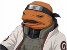 anime-naruto-gyneco