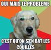 chien-probleme-bat-les-couilles-lunettes-osef-rien-a-foutre-branler-branle