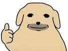 cool-story-bro-chien-pouce