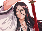 unohana-retsu-bleach-cheveux-noir-yeux-bleu-uranie-de-broglie-fic-bloop