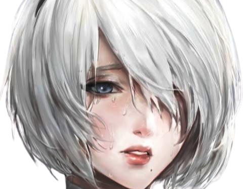 2b nier automata cheveux blanc yeux bleu opale de brienne fic bloop
