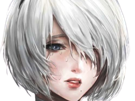 2b-nier-automata-cheveux-blanc-yeux-bleu-opale-de-brienne-fic-bloop