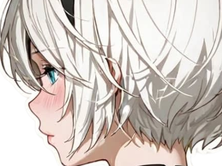 2b nier automata cheveux blanc yeux bleu opale de brienne fic bloop
