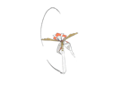 pokemon-nintendo-kalos-sud-pire-escouade-spin-off-moupe-api-ultra-chimere-katagami