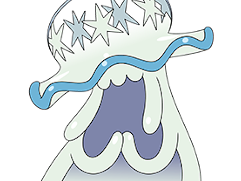 pokemon nintendo kalos sud pire escouade spin off moupe api ultra chimere zeroid