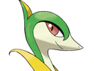 pokemon-nintendo-kalos-sud-pire-escouade-spin-off-moupe-florence-oooooohohohoho-lianaja
