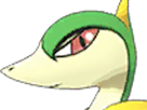 pokemon-nintendo-kalos-sud-pire-escouade-spin-off-moupe-florence-oooooohohohoho-lianaja