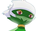 pokemon-nintendo-kalos-sud-pire-escouade-spin-off-moupe-florence-oooooohohohoho-roserade