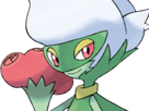 pokemon-nintendo-kalos-sud-pire-escouade-spin-off-moupe-florence-oooooohohohoho-roserade