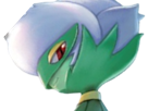 pokemon-nintendo-kalos-sud-pire-escouade-spin-off-moupe-florence-oooooohohohoho-roserade