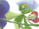 pokemon-nintendo-kalos-sud-pire-escouade-spin-off-moupe-florence-oooooohohohoho-roserade