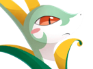 pokemon-nintendo-kalos-sud-pire-escouade-spin-off-moupe-florence-oooooohohohoho-majaspic
