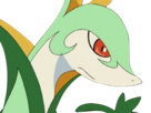 pokemon-nintendo-kalos-sud-pire-escouade-spin-off-moupe-florence-oooooohohohoho-majaspic