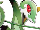 pokemon-nintendo-kalos-sud-pire-escouade-spin-off-moupe-florence-oooooohohohoho-majaspic