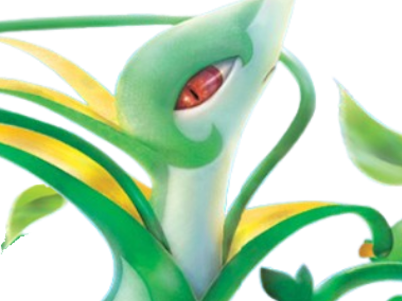 pokemon nintendo kalos sud pire escouade spin off moupe florence oooooohohohoho majaspic