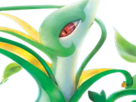 pokemon-nintendo-kalos-sud-pire-escouade-spin-off-moupe-florence-oooooohohohoho-majaspic