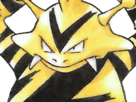 pokemon-nintendo-kalos-sud-pire-escouade-spin-off-moupe-balthazar-balt-muscle-elektek