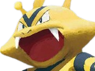 pokemon-nintendo-kalos-sud-pire-escouade-spin-off-moupe-balthazar-balt-muscle-elektek