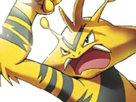pokemon-nintendo-kalos-sud-pire-escouade-spin-off-moupe-balthazar-balt-muscle-elektek