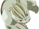 pokemon-nintendo-kalos-sud-pire-escouade-spin-off-moupe-balthazar-balt-muscle-machopeur