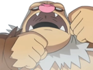 pokemon-nintendo-kalos-sud-pire-escouade-spin-off-moupe-balthazar-balt-muscle-monaflemit