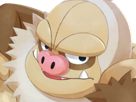 pokemon-nintendo-kalos-sud-pire-escouade-spin-off-moupe-balthazar-balt-muscle-monaflemit
