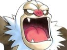 pokemon-nintendo-kalos-sud-pire-escouade-spin-off-moupe-balthazar-balt-muscle-monaflemit