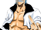 grimmjow-jaegerjaquez-bleach-cheveux-bleu-yeux-arrancar-masque-grimm-jager-fic-bloop-resurrection