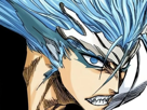grimmjow-jaegerjaquez-bleach-cheveux-bleu-yeux-arrancar-masque-grimm-jager-fic-bloop-resurrection