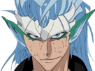 grimmjow-jaegerjaquez-bleach-cheveux-bleu-yeux-arrancar-masque-grimm-jager-fic-bloop-resurrection