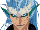 grimmjow-jaegerjaquez-bleach-cheveux-bleu-yeux-arrancar-masque-grimm-jager-fic-bloop-resurrection