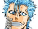 grimmjow-jaegerjaquez-bleach-cheveux-bleu-yeux-arrancar-masque-grimm-jager-fic-bloop-resurrection