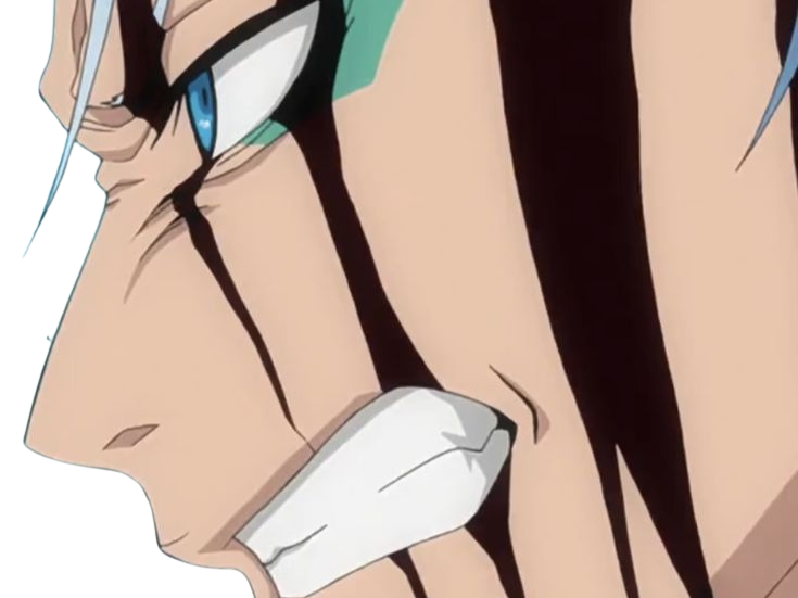 grimmjow jaegerjaquez bleach cheveux bleu yeux arrancar masque grimm jager fic bloop resurrection