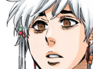 isane kotetsu bleach cheveux blanc yeux marron noisette perles tresse fic bloop
