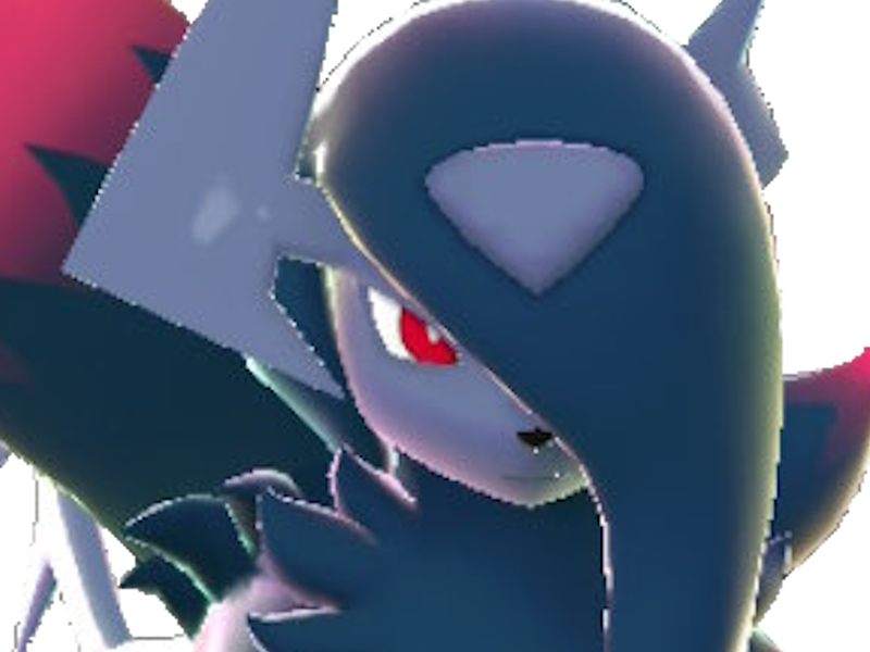 pokemon nintendo kalos sud pire escouade spin off moupe youri bateleur cruel absol mega z