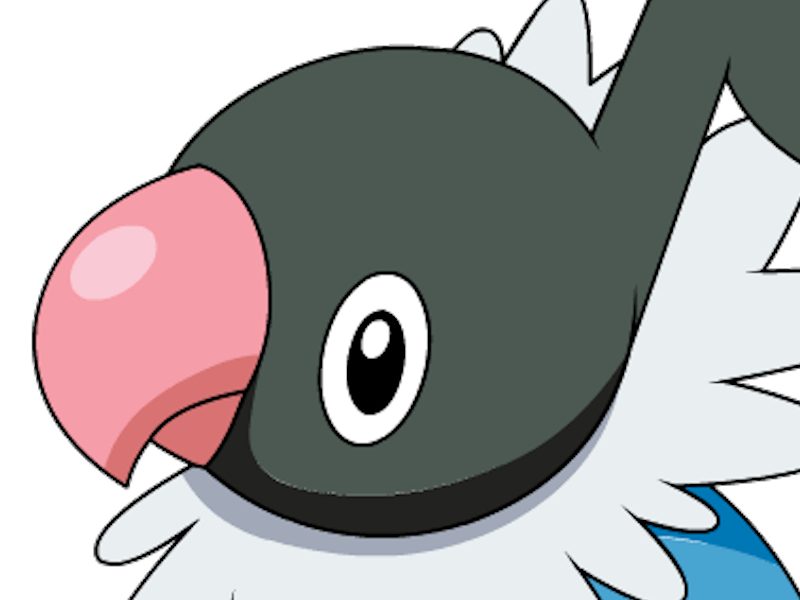 pokemon nintendo kalos sud pire escouade spin off moupe youri bateleur cruel pijako