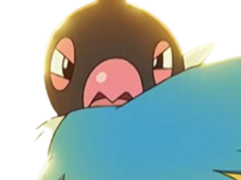 pokemon nintendo kalos sud pire escouade spin off moupe youri bateleur cruel pijako