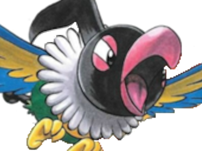 pokemon nintendo kalos sud pire escouade spin off moupe youri bateleur cruel pijako