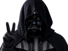 dark-vador-cultiste-culte-secte-adorateurs-des-tenebres-fic-pokemon-__vlt__-vlt-kalos-du-sud-kalos-epeiste-dresseur-dark-63