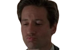 mulder-x-files-xfiles-perplexe