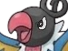 pokemon-nintendo-kalos-sud-pire-escouade-spin-off-moupe-youri-bateleur-cruel-mega-pijako