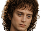 frodon-saquet-wtf-machoire-hight-bizarre-fraudonniard-phaonce-lsda-lotr