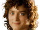 frodon-saquet-wtf-machoire-hight-bizarre-fraudonniard-phaonce-lsda-lotr
