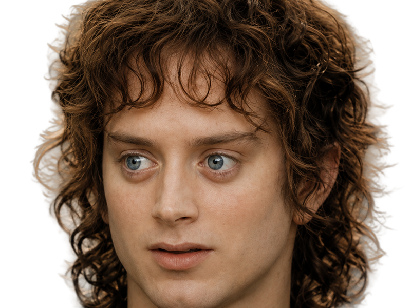 frodon saquet wtf machoire hight bizarre fraudonniard phaonce lsda lotr