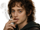frodon-saquet-wtf-machoire-hight-bizarre-fraudonniard-phaonce-lsda-lotr