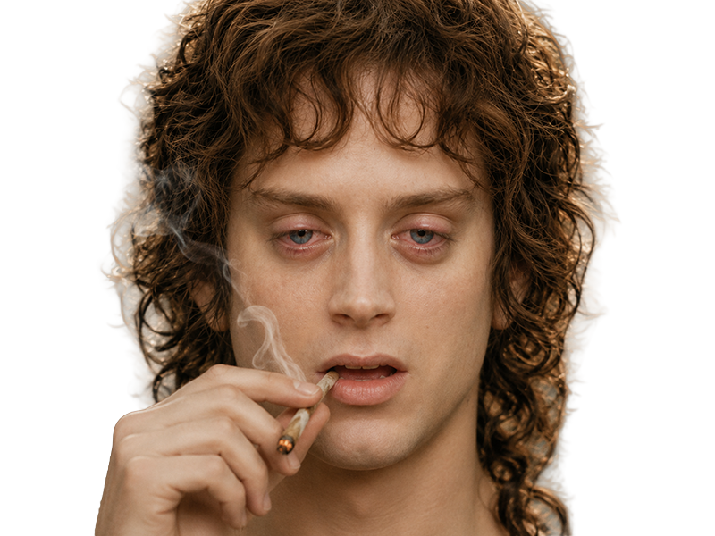 frodon saquet wtf machoire hight bizarre fraudonniard phaonce lsda lotr